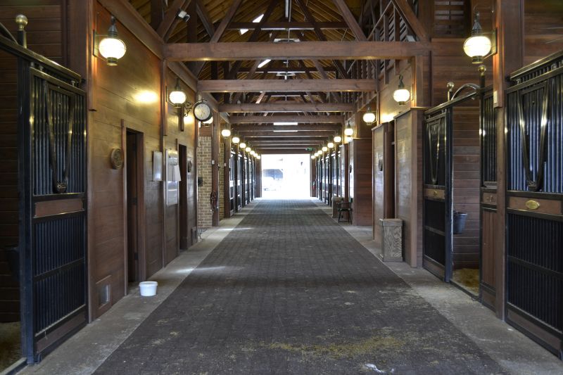Horse Stall Repair in Conroe, TX