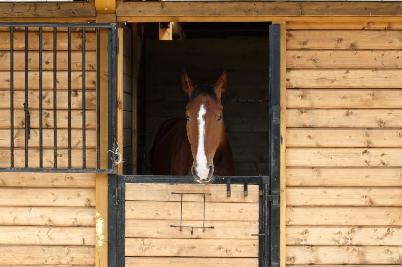 Horse Stall Repair in Olathe, KS