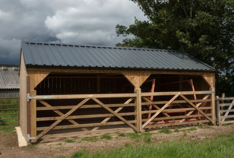 Tool Shed Construction in Conroe, TX