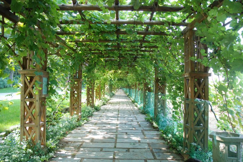 Wood Trellis Installation in Wilmington, NC