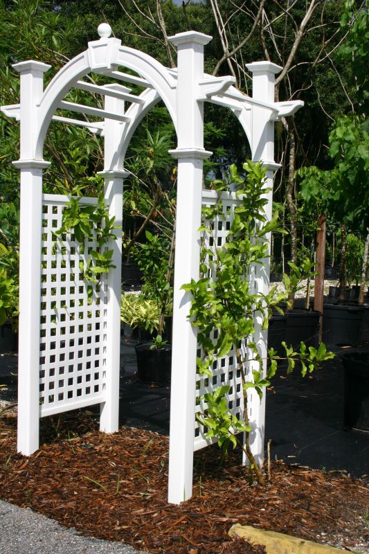 Arbor Replacement in Alpharetta, GA