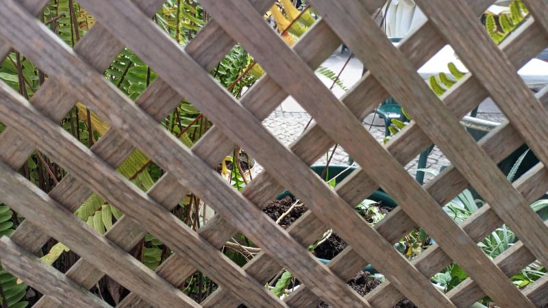 Garden Trellis Installation in Kansas City, KS