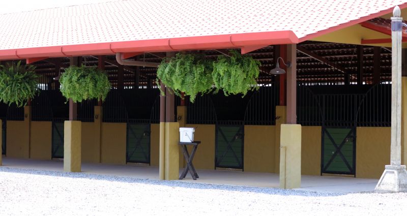 Horse Shelter Construction in Kansas City, KS