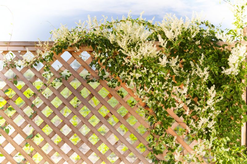 Lattice Arbor Installation in Conroe, TX