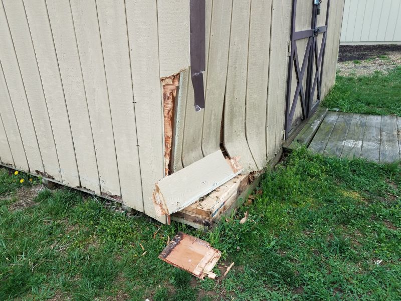 Storage Shed Repair in Olathe, KS