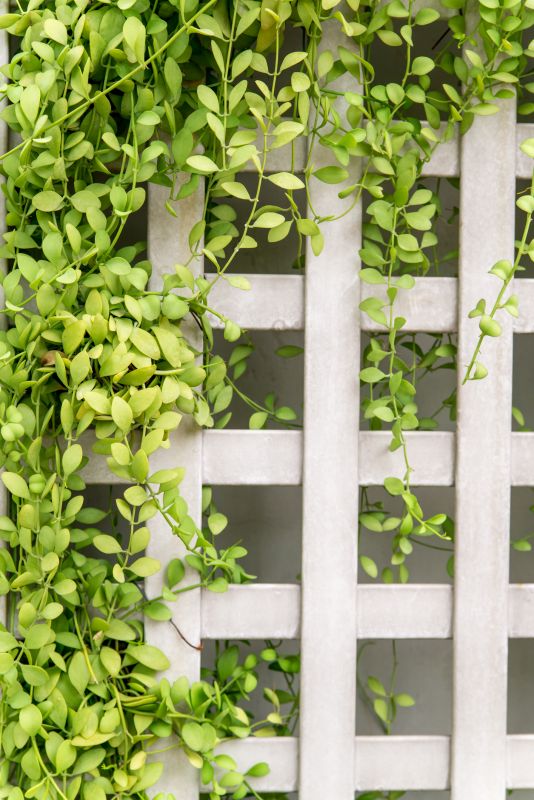 Trellis Fence Construction in Kansas City, KS